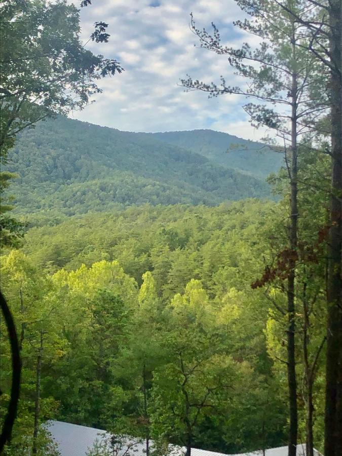 Mountain-Top Cabin Get-Away With Hot Tub And A View Sautee Nacoochee Buitenkant foto