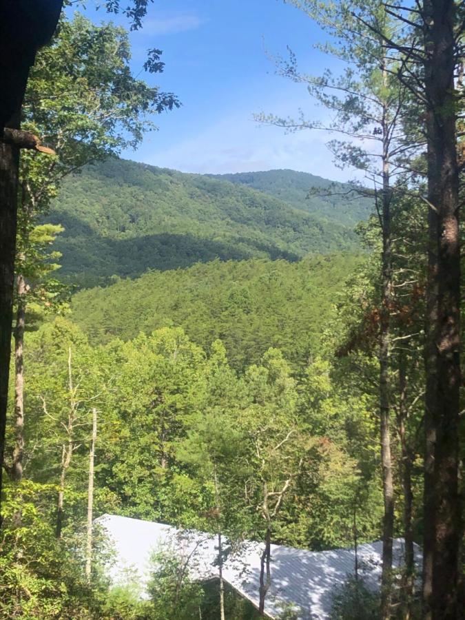 Mountain-Top Cabin Get-Away With Hot Tub And A View Sautee Nacoochee Buitenkant foto